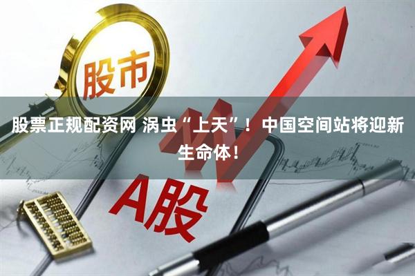 股票正规配资网 涡虫“上天”！中国空间站将迎新生命体！